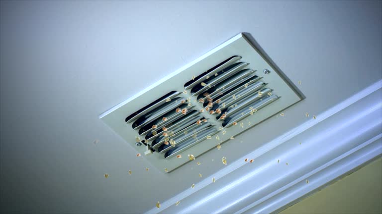 Best Air Duct Cleaning Near Me  in New Waverly, TX