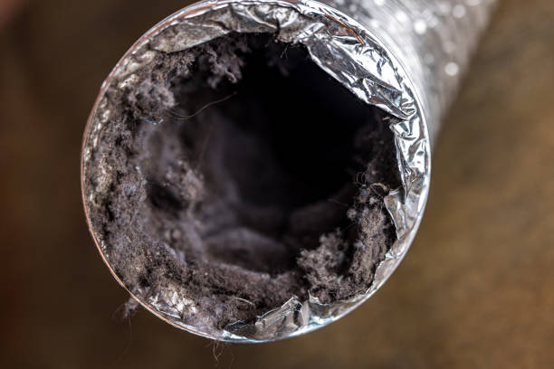 Best Affordable Duct Cleaning Services  in New Waverly, TX